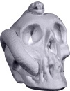 Skull with Snake Plaster Statue