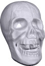 Skull Plaster Statue Small