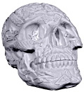 Celtic Skull Plaster Statue