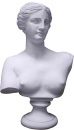 Venus Bust Plaster Statue