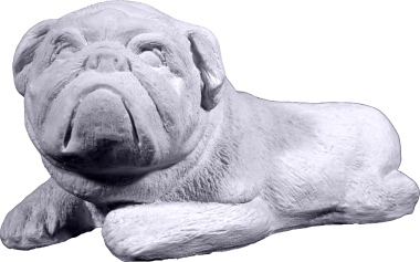 Bulldog Plaster Statue